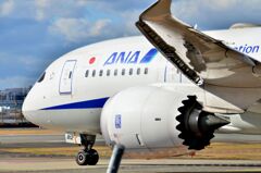 ANA 400