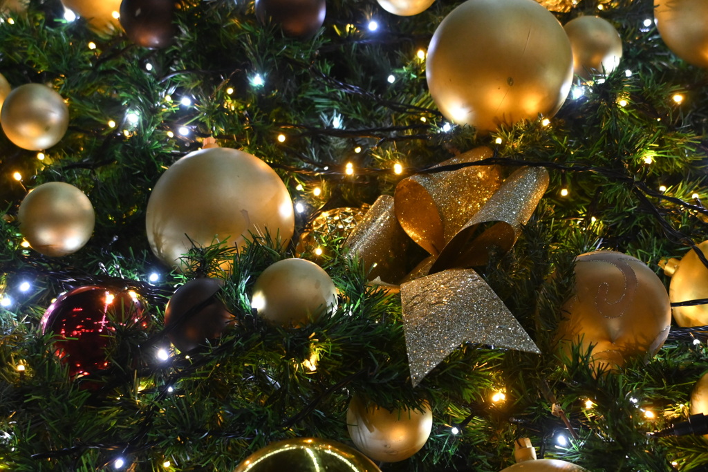 「我が街のツリー」05