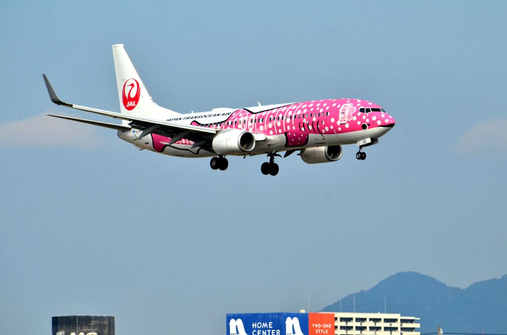 JAL 387