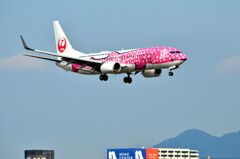 JAL 387