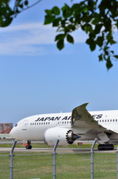 JAL 131