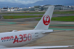 A350 JAL 19