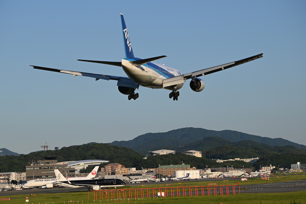 ANA 1310