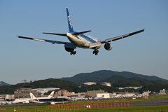 ANA 1310