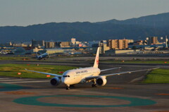 JAL 66
