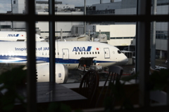 「私があなたを 想う数」(ANA 1335)