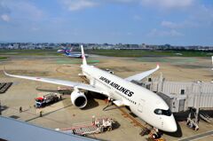 JAL 437