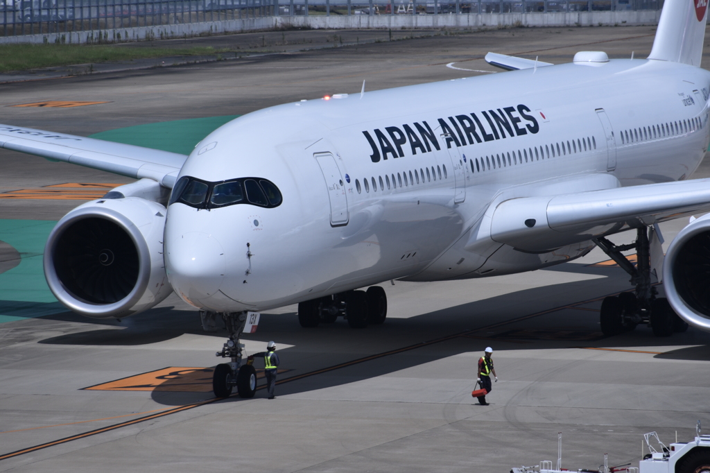 JAL 982