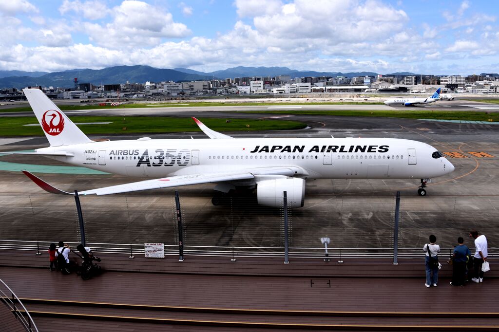 JAL 1113