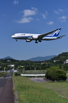 ANA 591