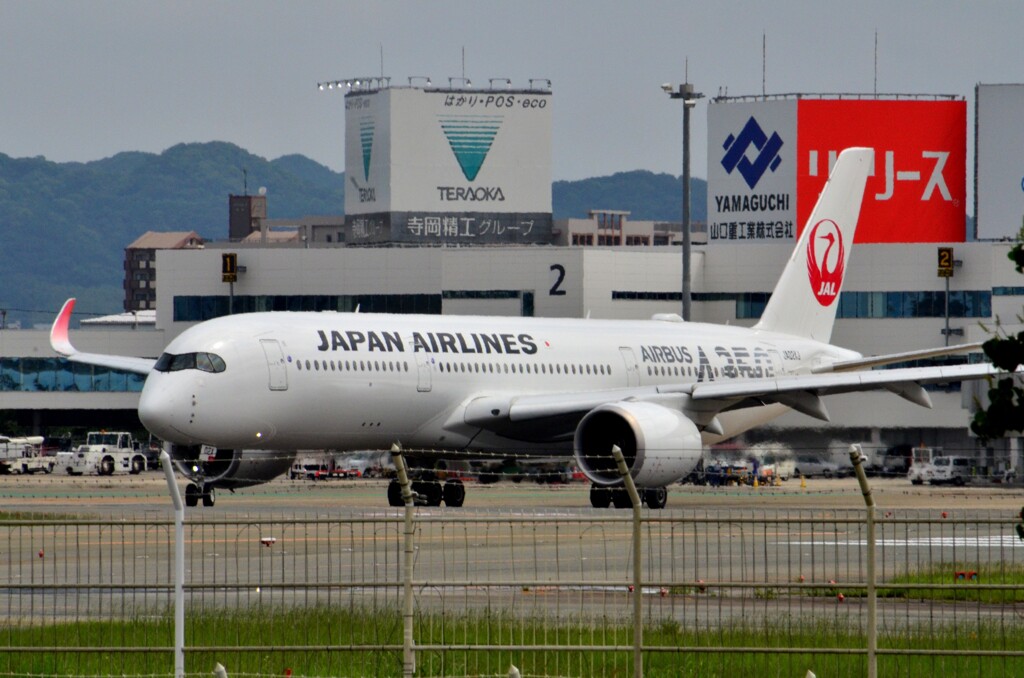 A350 JAL 24