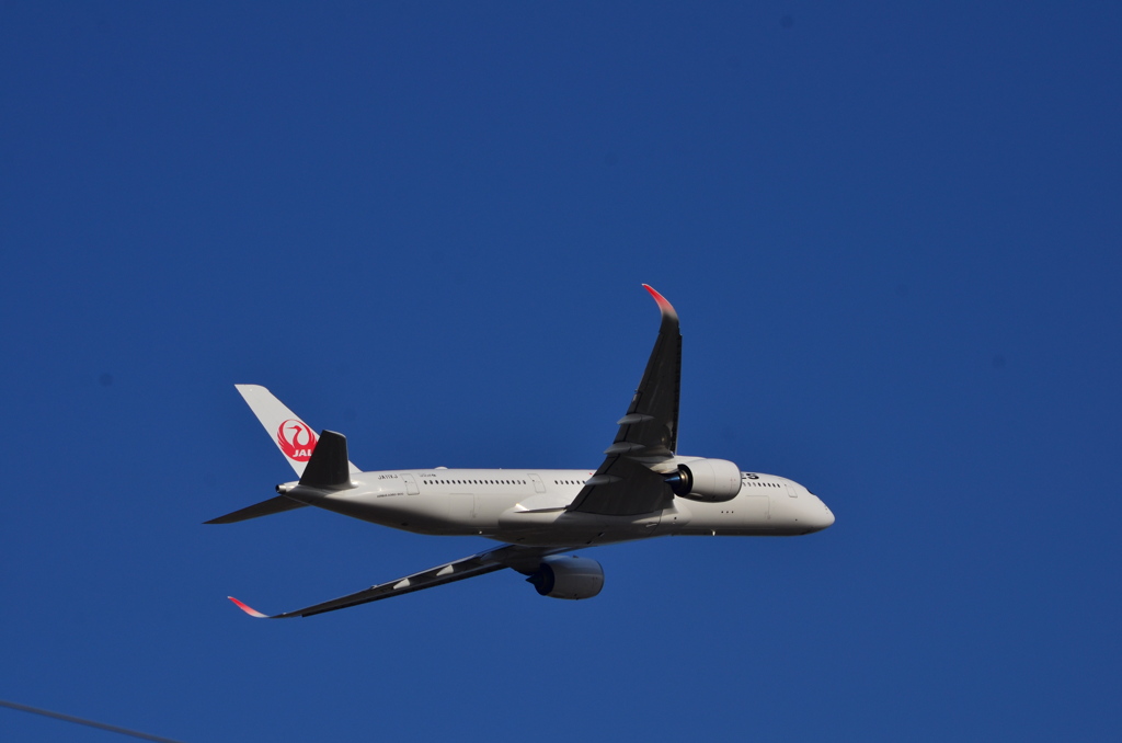 JAL 521
