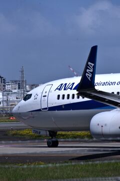 ANA 920