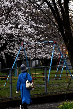 「2025桜 」08
