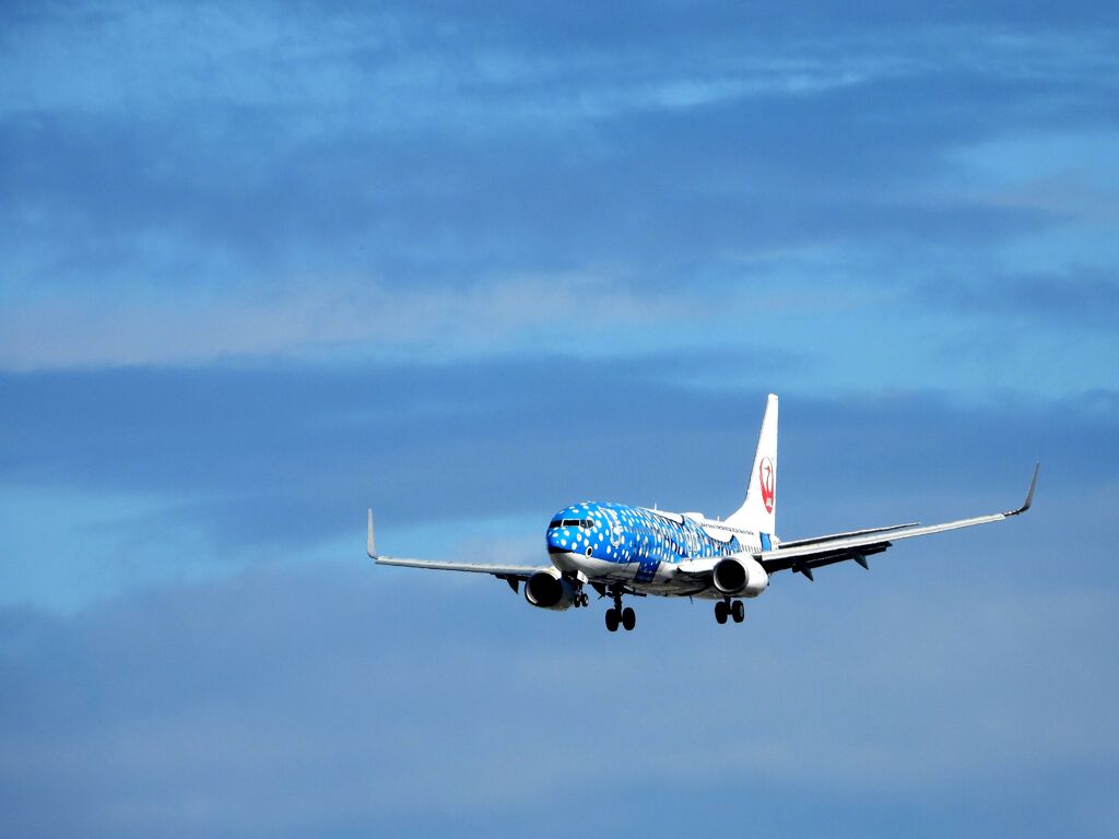 JAL 1315