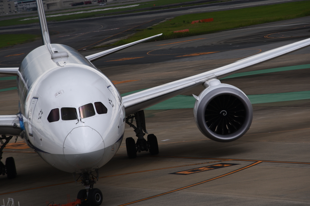 ANA 988