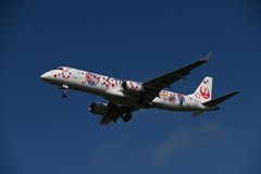 JAL 1305