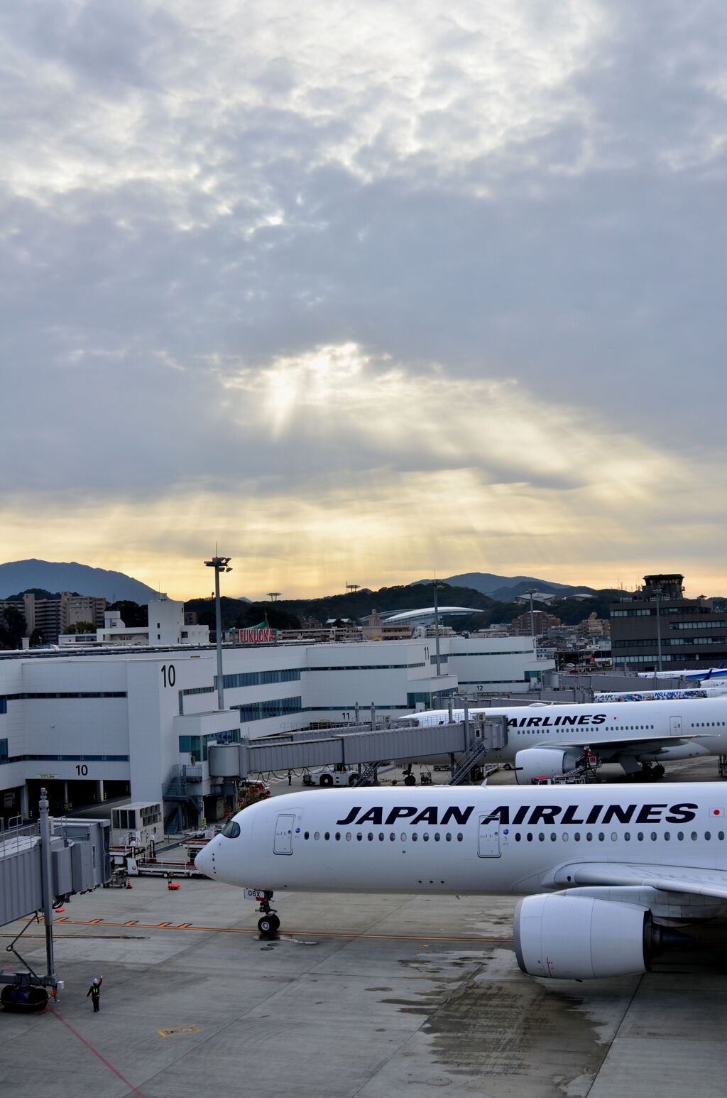 JAL 422