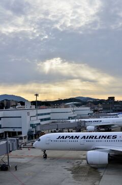 JAL 422