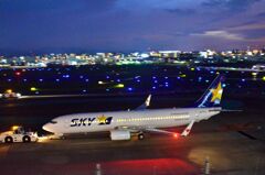 SKY 81