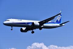 ANA 727