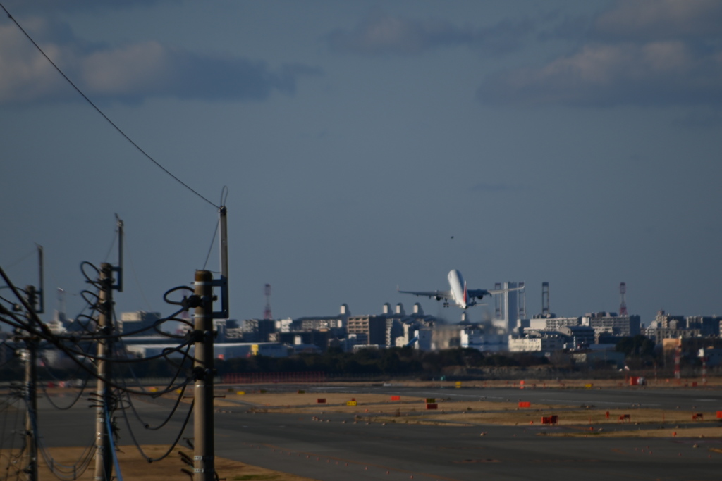 「おとこの嘘を 恋しがる」