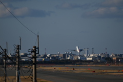 「おとこの嘘を 恋しがる」