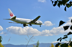 JAL 438