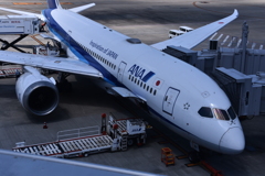 ANA 911