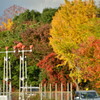 ヒコ撮り場の紅葉　その三