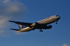 ANA 224