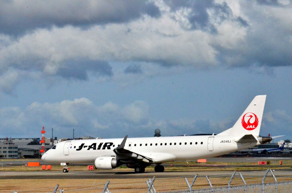 JAL 81