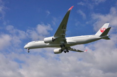 JAL 189