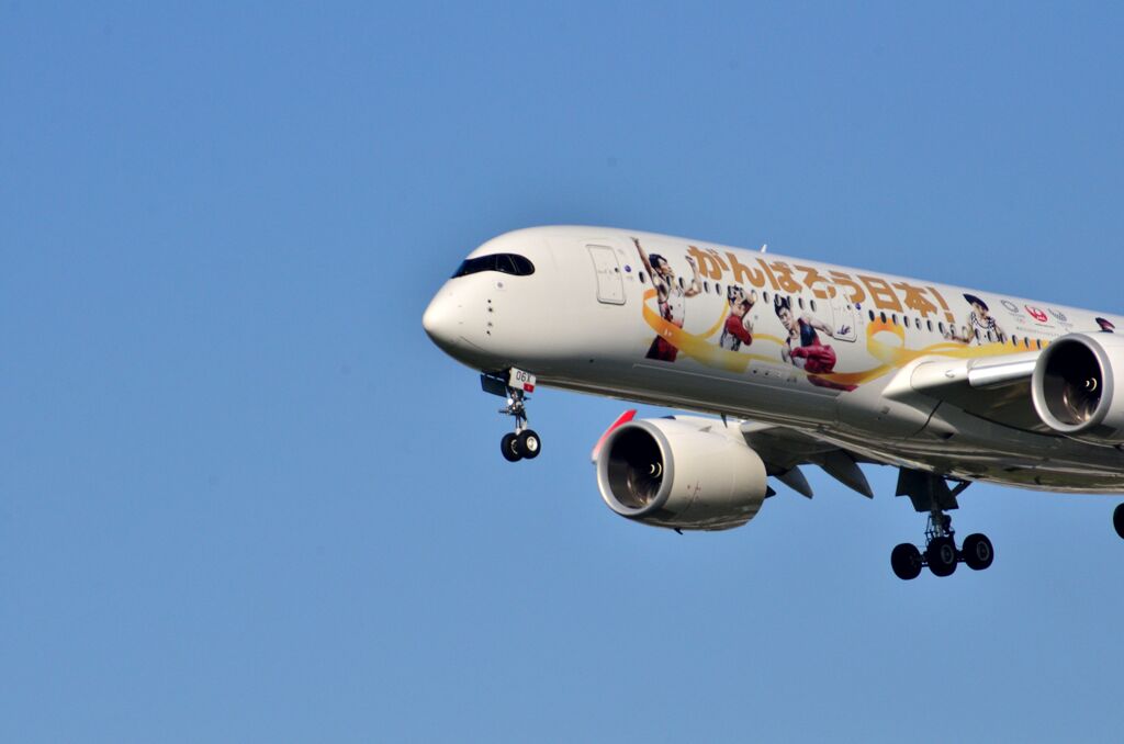 JAL 295   がんばろう日本！