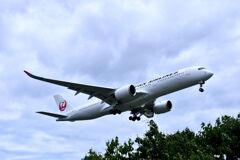 JAL 645