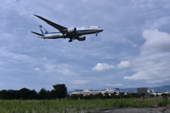 ANA 902
