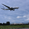 ANA 902