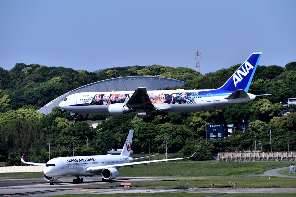 ANA 524