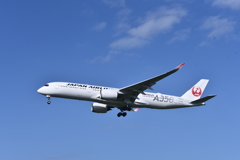JAL 1029