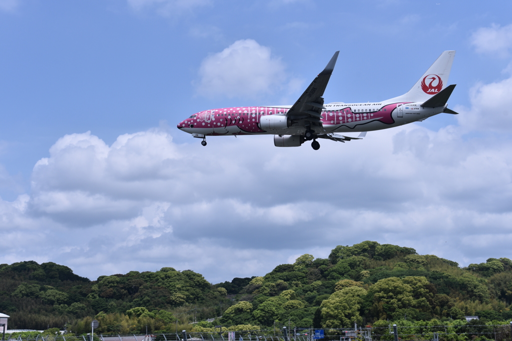 JAL 579
