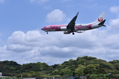 JAL 579