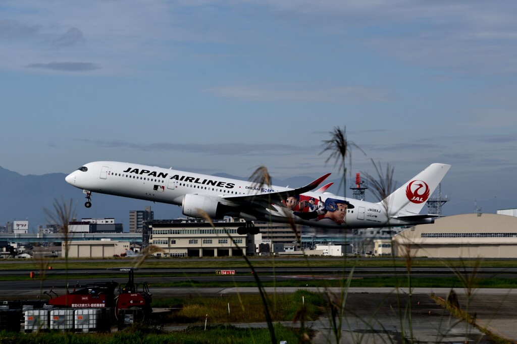 JAL 1335