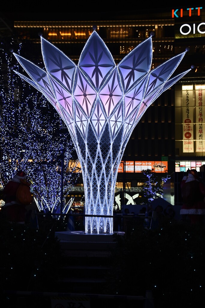 「博多駅イルミ2024」07