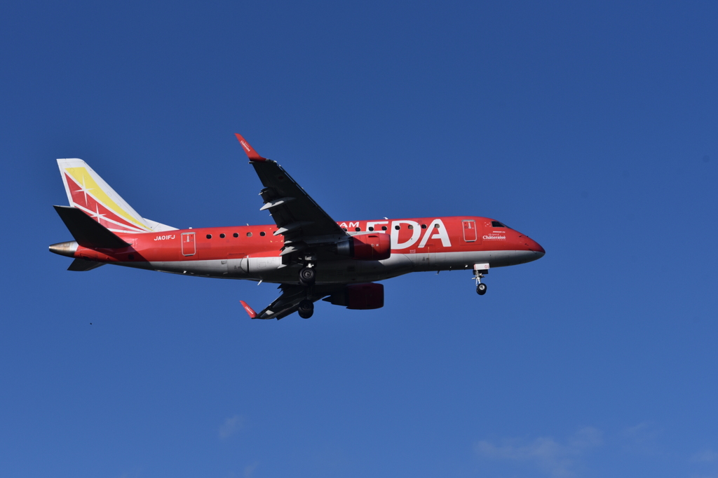 FDA 251