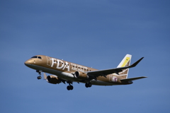 FDA 289