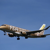 FDA 289