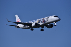 JAL 1182