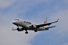 JAL 136