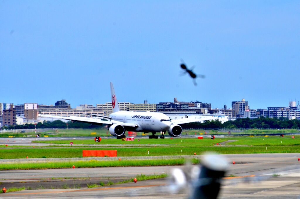 JAL 241    ありっ？