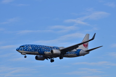 JAL 433